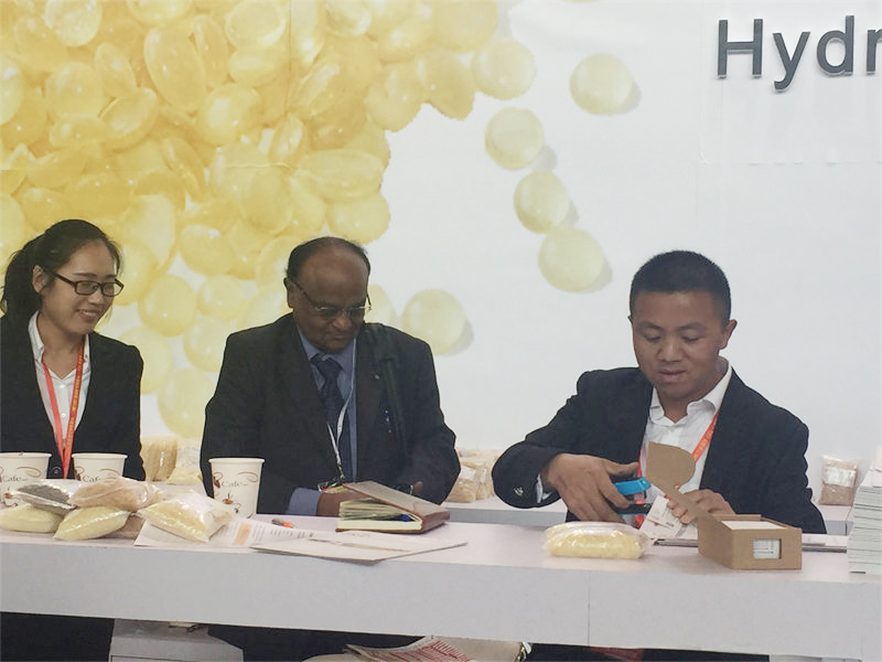 第二十四屆中國國際膠黏劑及密封劑展會延期舉辦通知